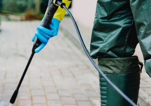 The Growing Demand for Pressure Washing